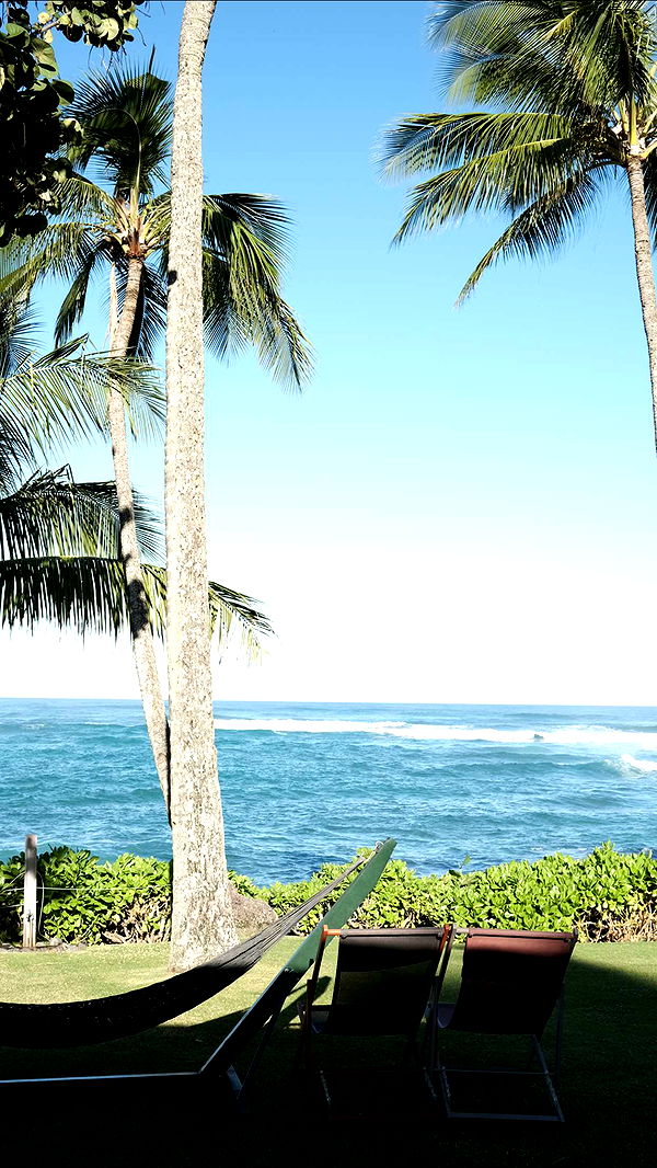 emilyelizabbeth image ~ Altpins