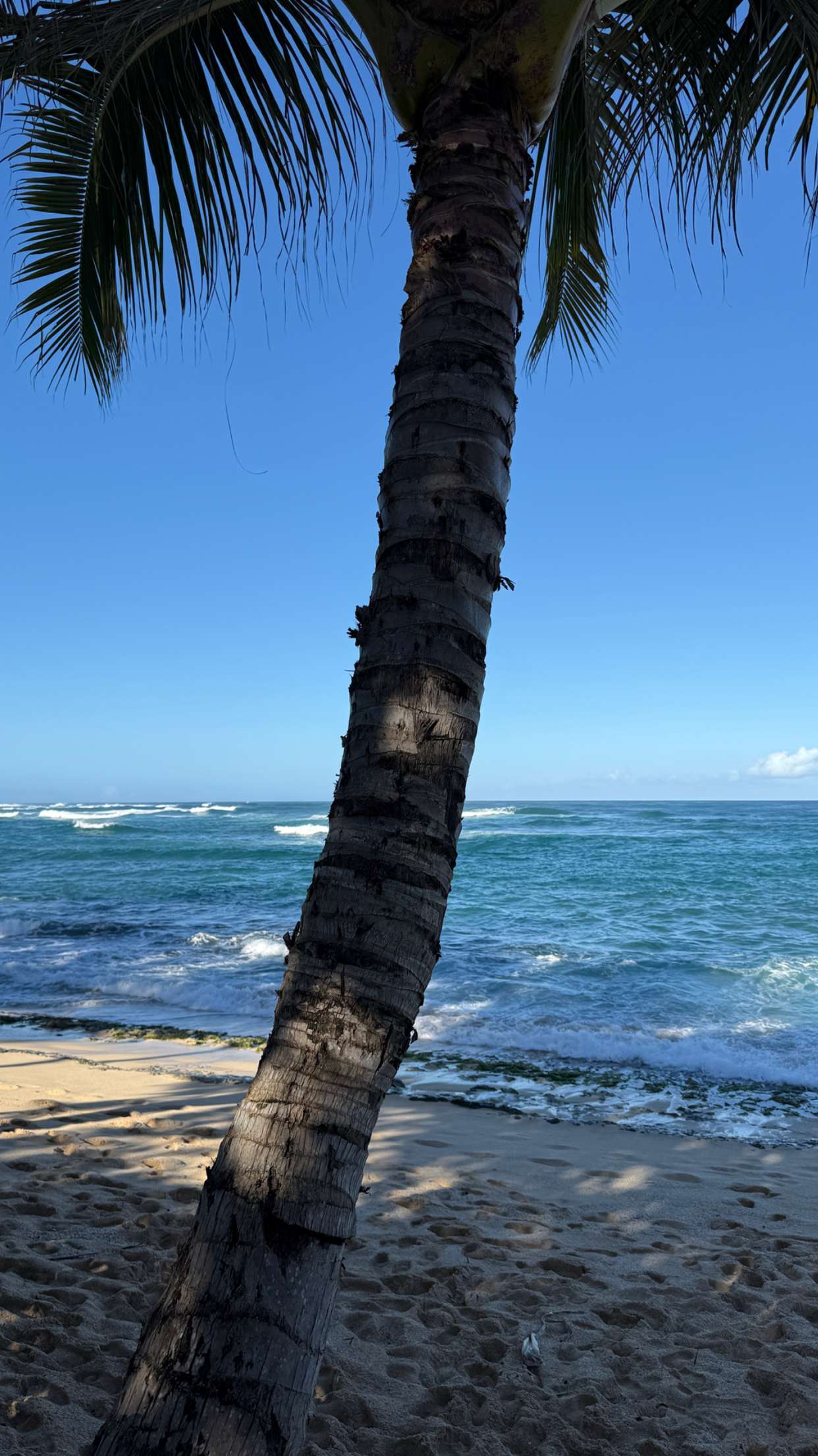 emilyelizabbeth snapchat image archive image