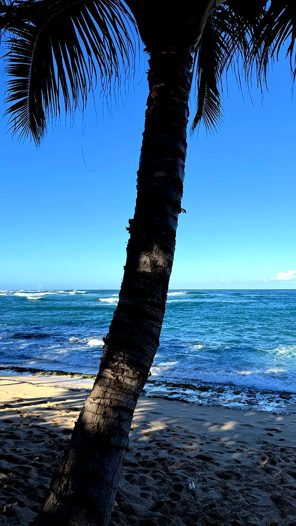 emilyelizabbeth image ~ Altpins