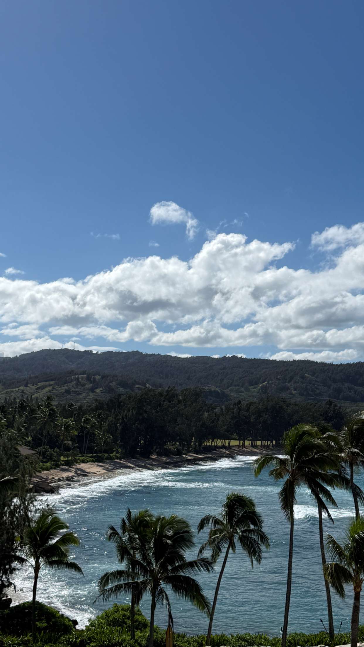 emilyelizabbeth snapchat image archive image