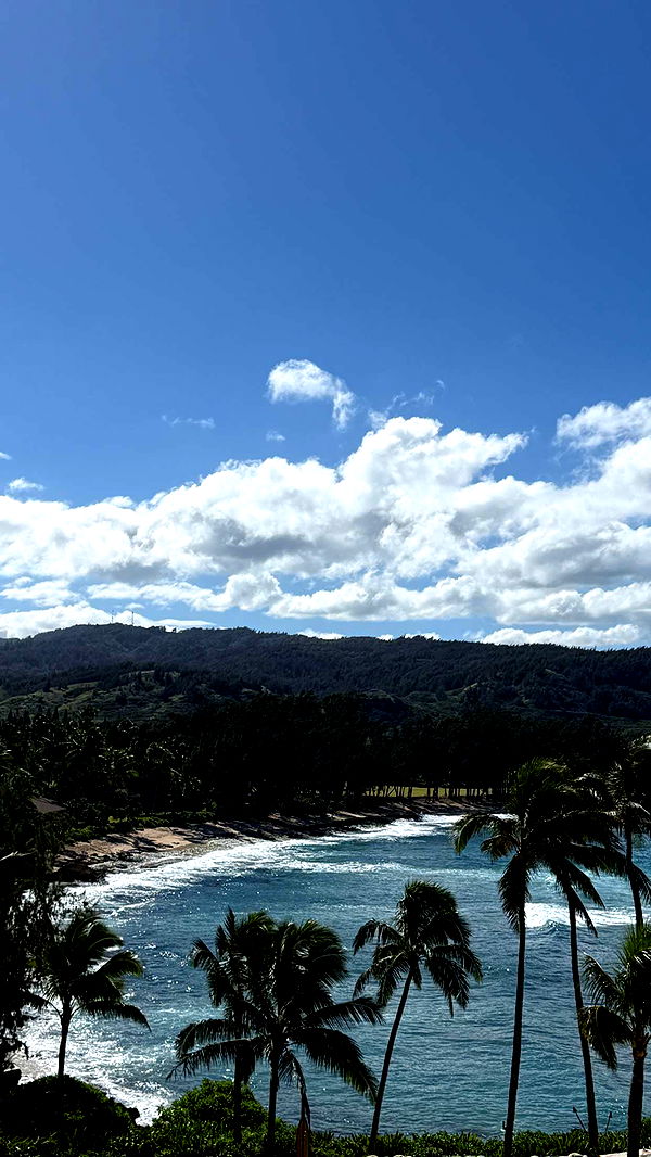 emilyelizabbeth image ~ Altpins