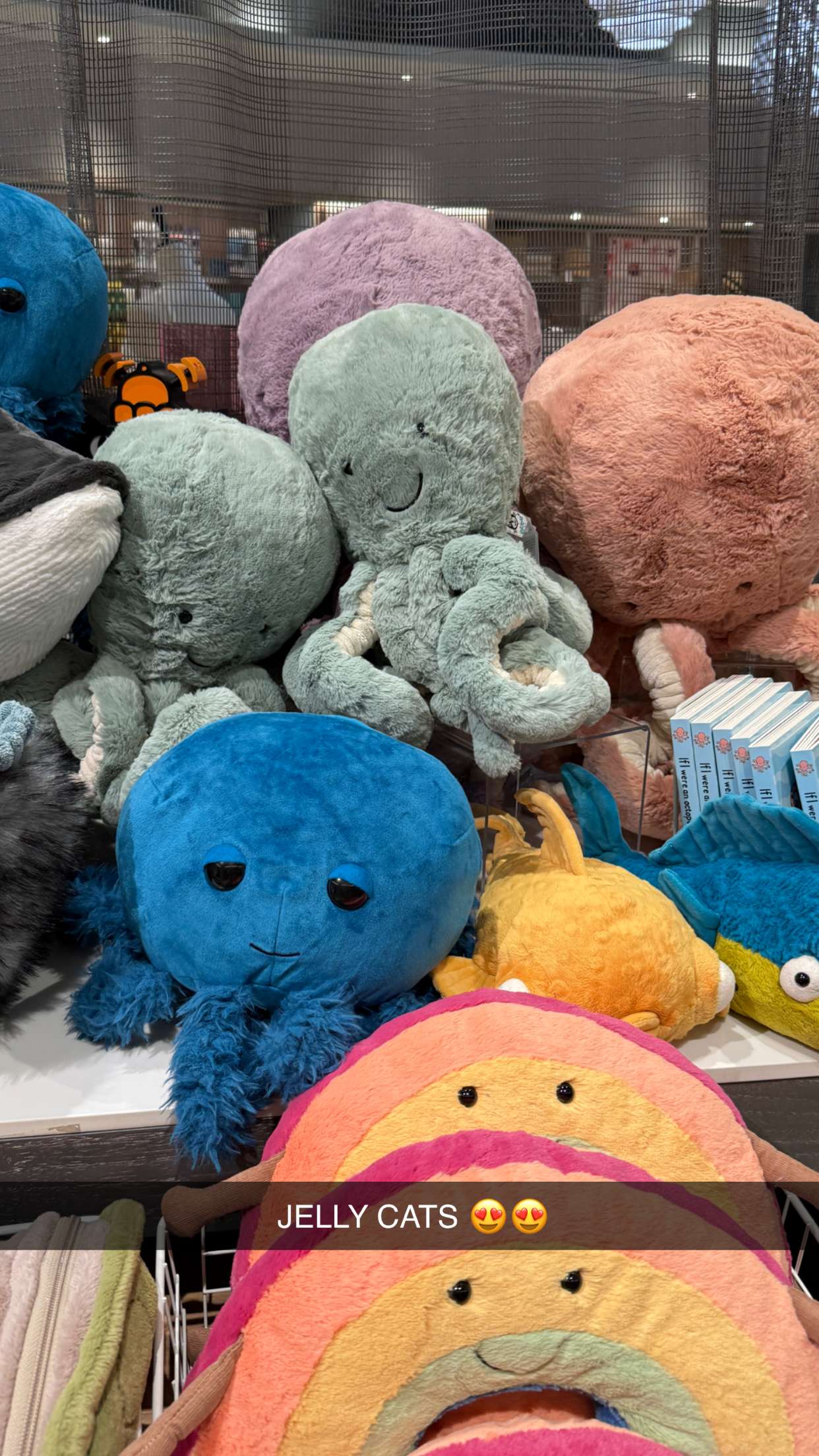 emilyelizabbeth snapchat image archive image