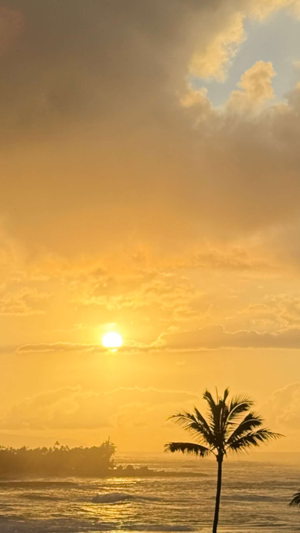 emilyelizabbeth snapchat image archive image