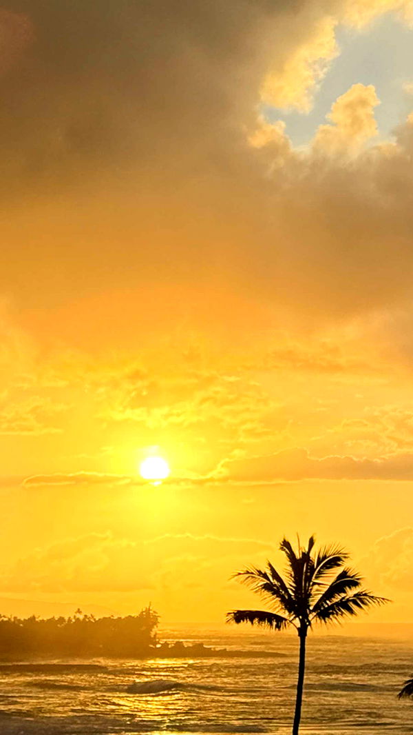 emilyelizabbeth image ~ Altpins