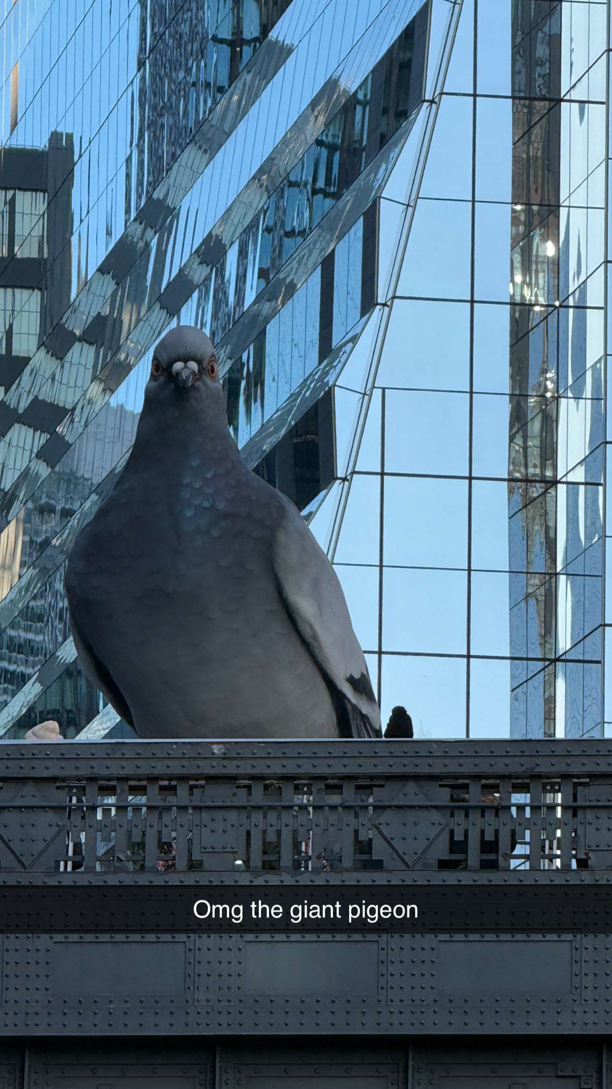 emilyelizabbeth snapchat image archive image