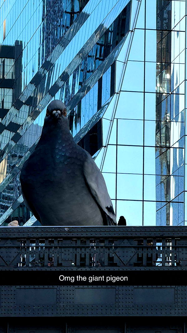 emilyelizabbeth image ~ Altpins