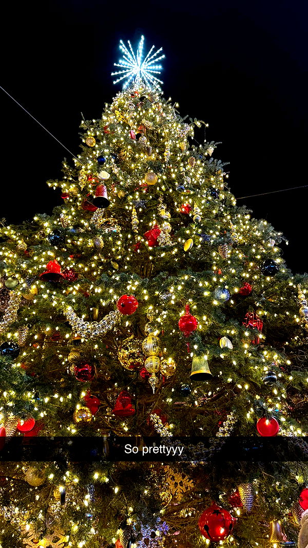 emilyelizabbeth image ~ Altpins