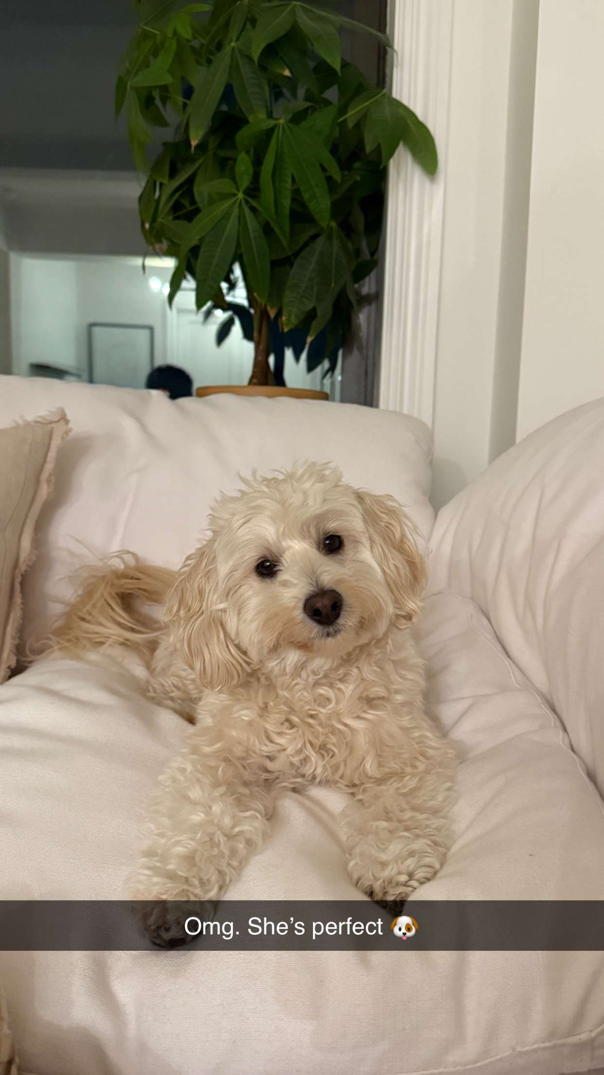 emilyelizabbeth snapchat image archive image