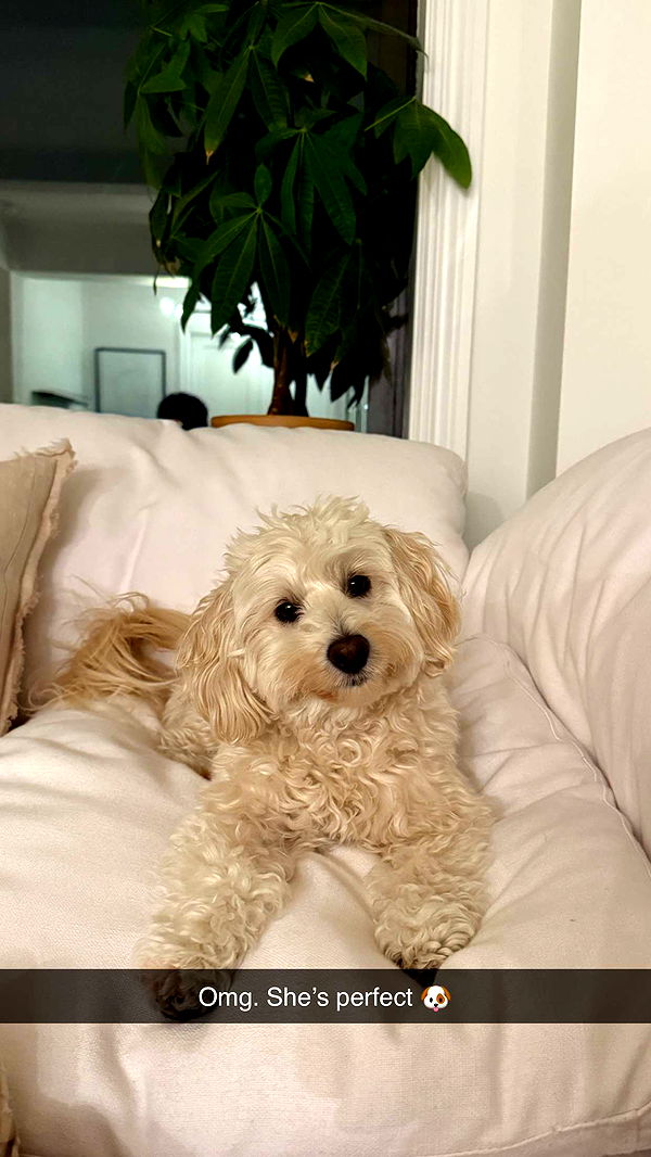 emilyelizabbeth image ~ Altpins