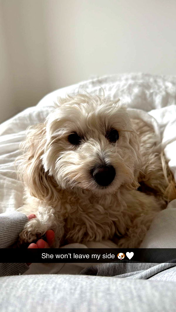 emilyelizabbeth image ~ Altpins