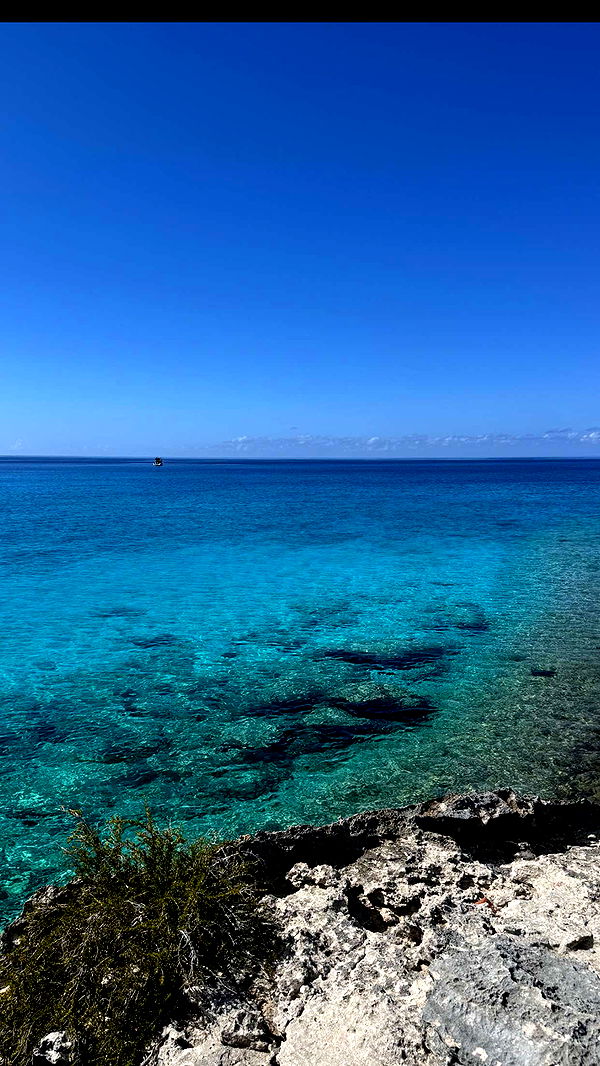 emilyelizabbeth image ~ Altpins