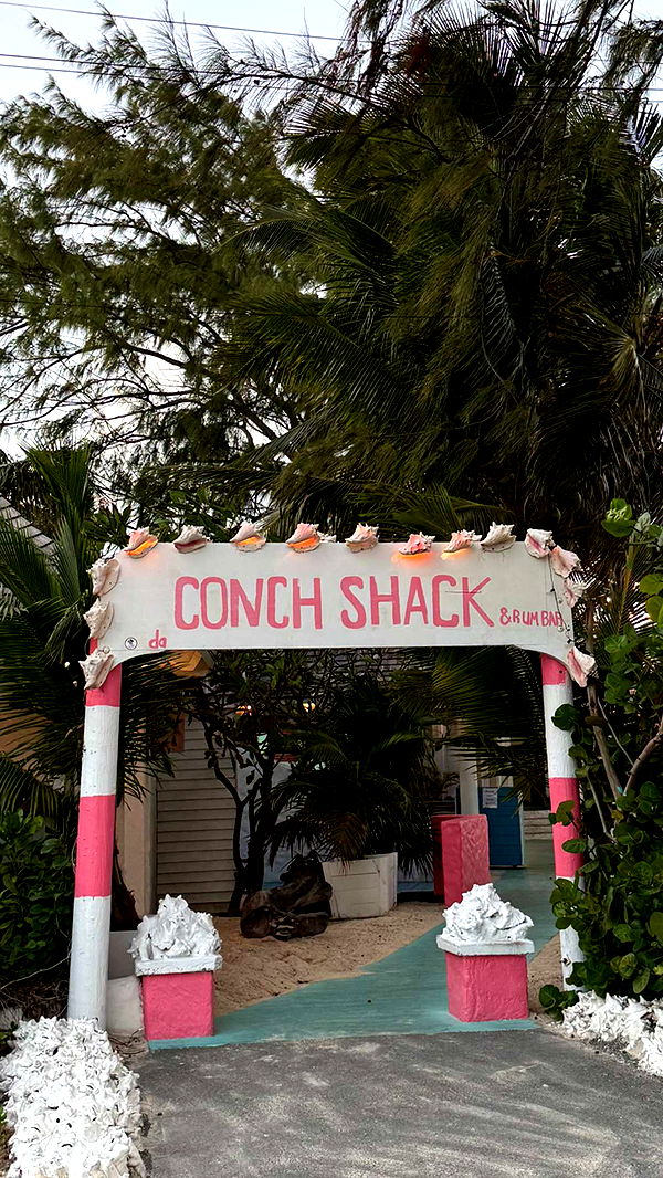 emilyelizabbeth image ~ Altpins