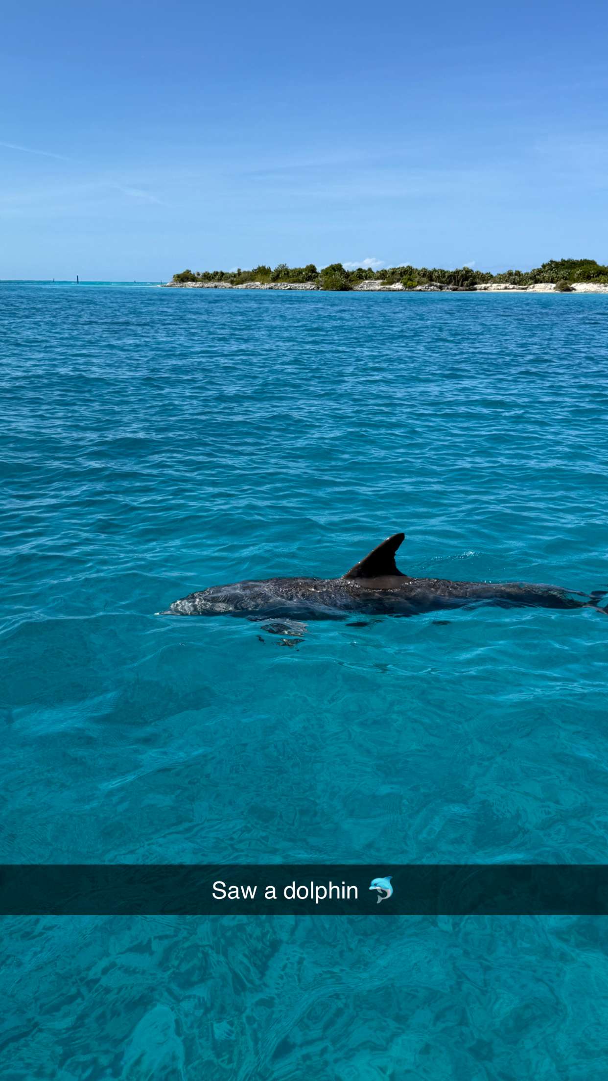 emilyelizabbeth snapchat image archive image