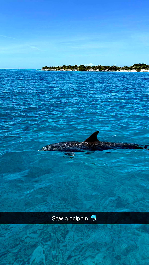 emilyelizabbeth image ~ Altpins