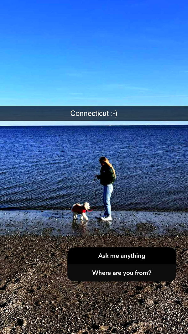 emilyelizabbeth image ~ Altpins