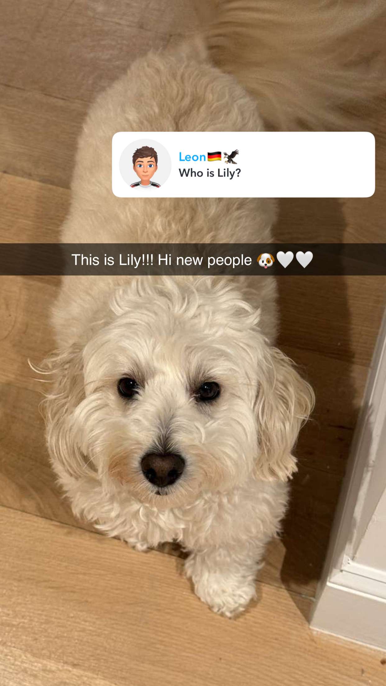 emilyelizabbeth snapchat image archive image