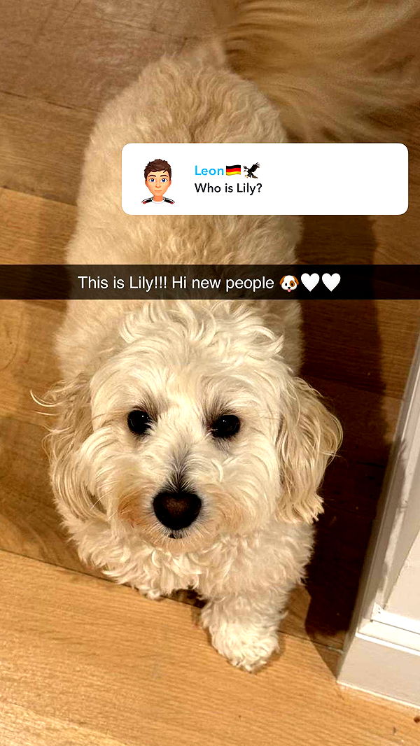 emilyelizabbeth image ~ Altpins