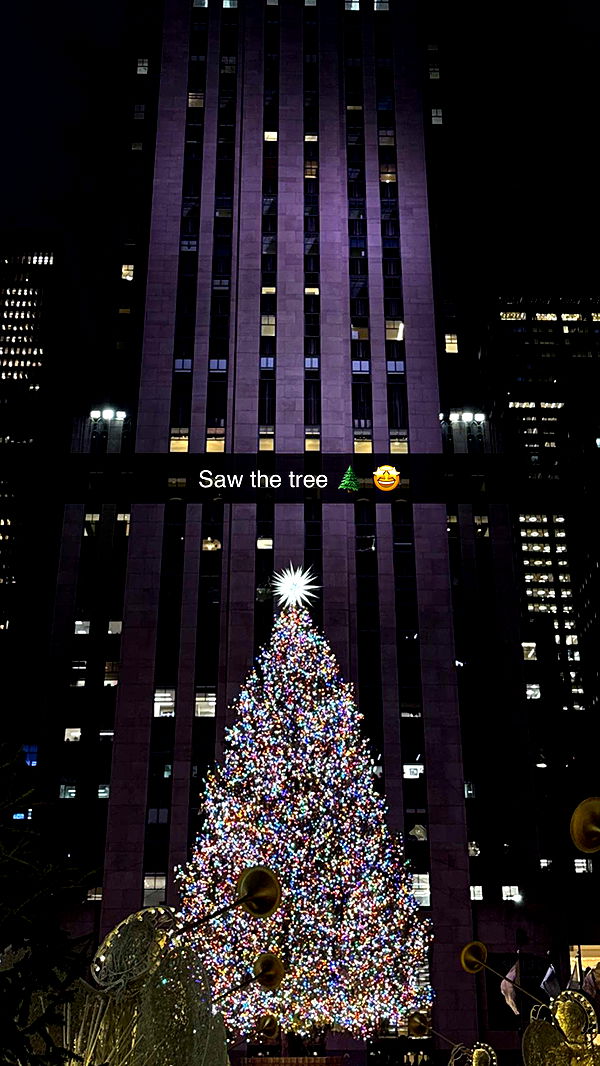 emilyelizabbeth image ~ Altpins