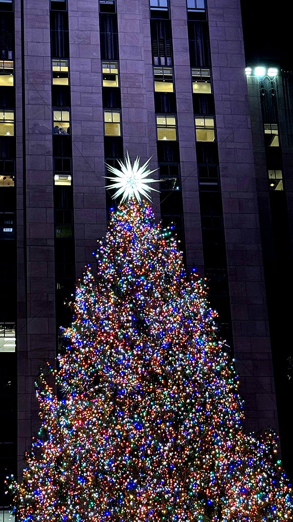 emilyelizabbeth image ~ Altpins