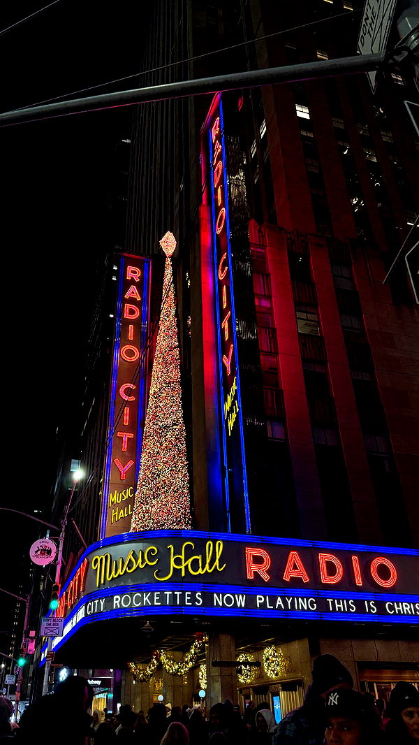 emilyelizabbeth image ~ Altpins