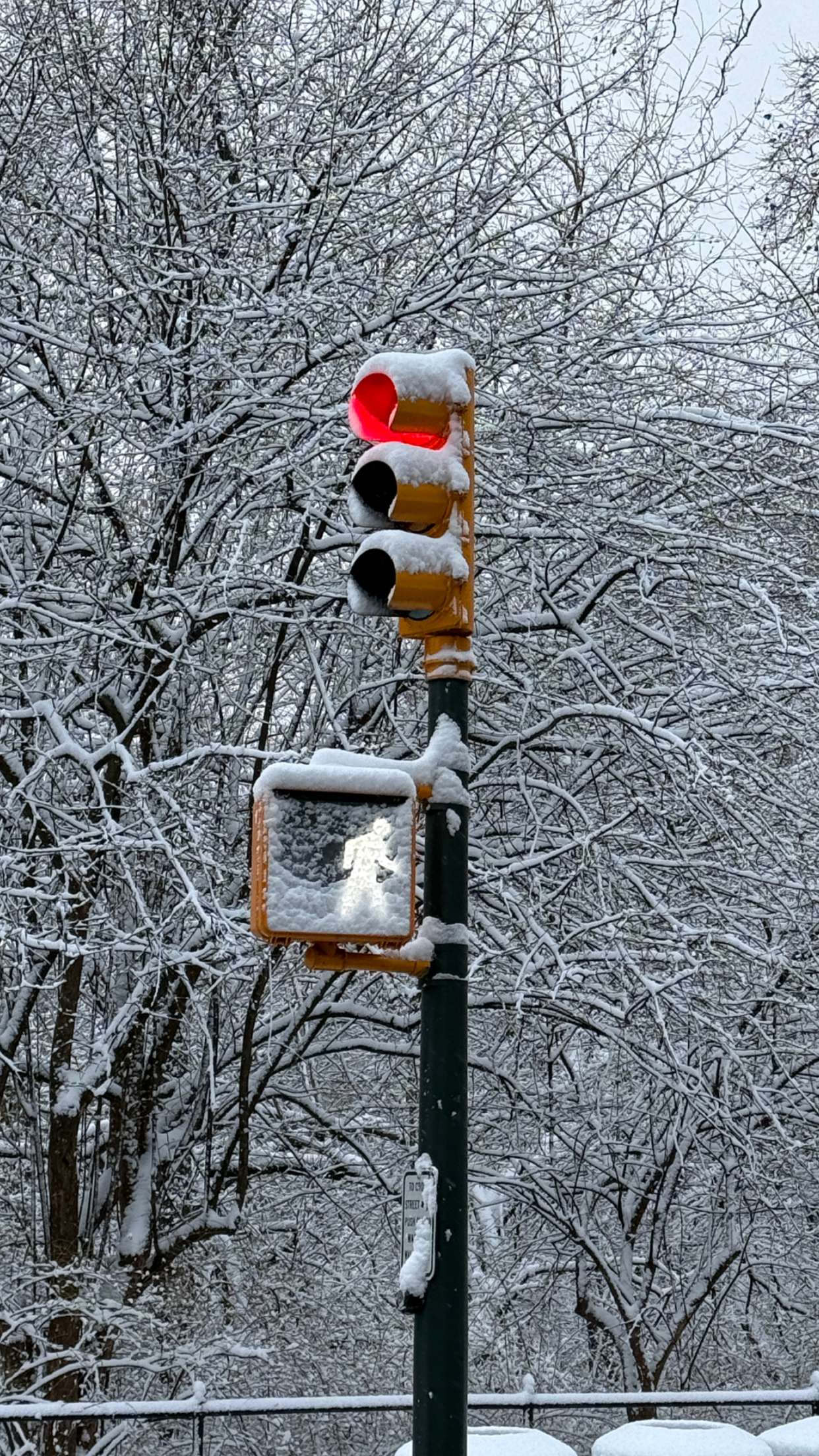 emilyelizabbeth snapchat image archive image