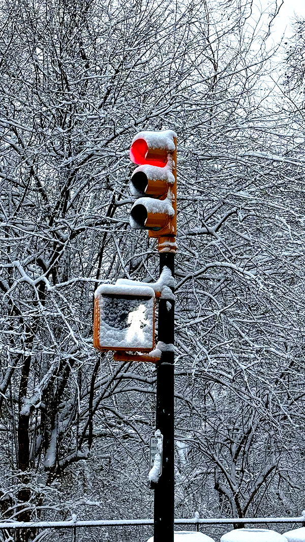 emilyelizabbeth image ~ Altpins