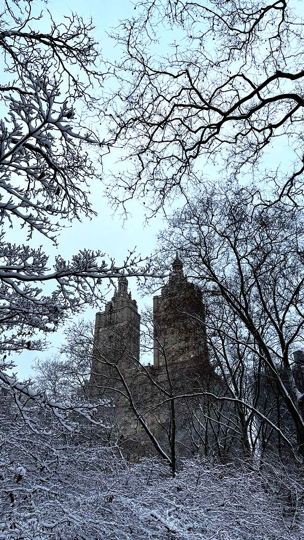 emilyelizabbeth image ~ Altpins