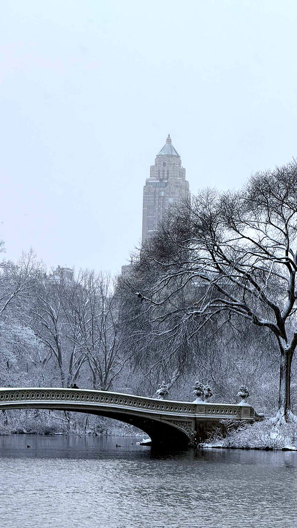 emilyelizabbeth image ~ Altpins