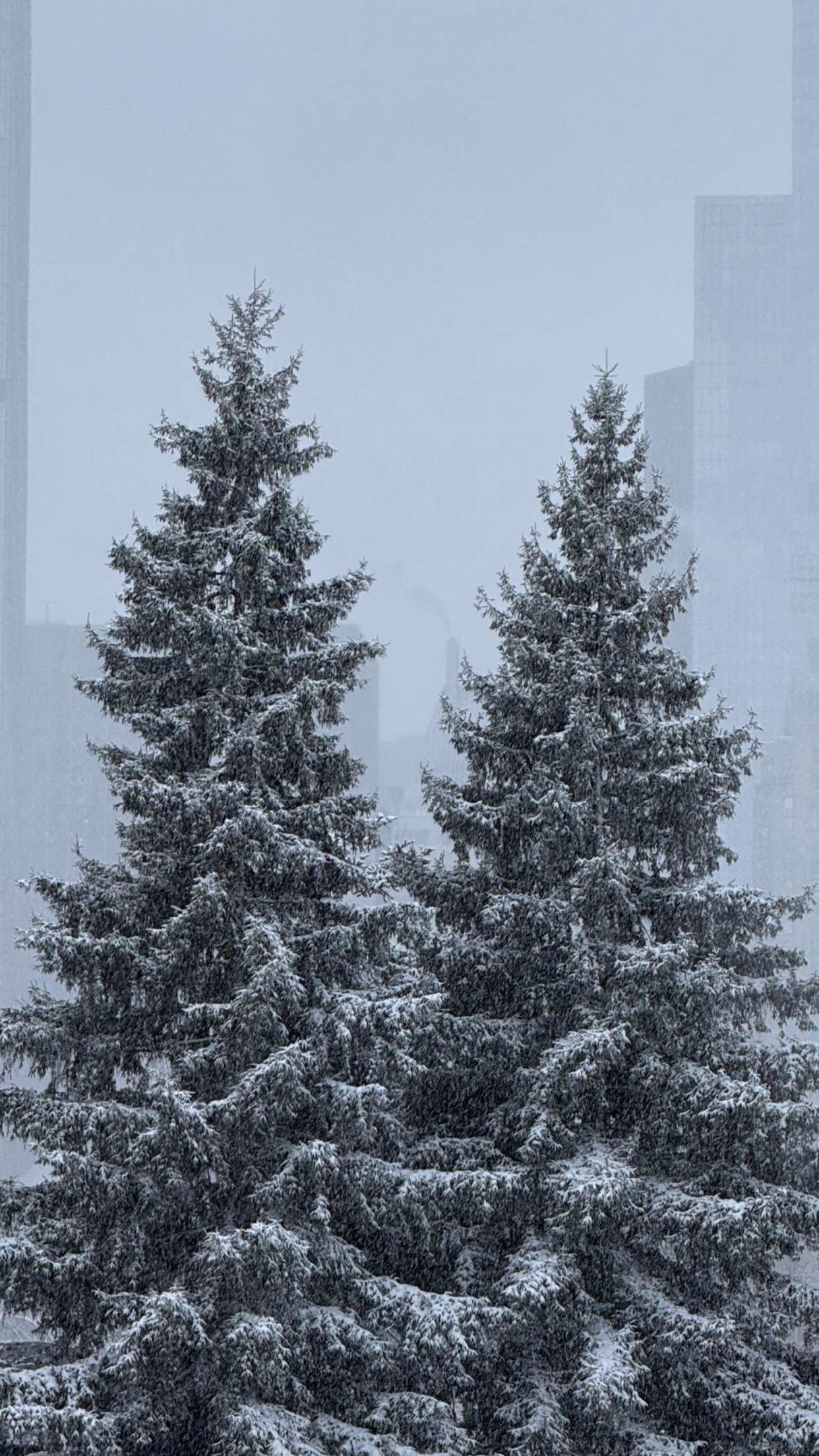 emilyelizabbeth snapchat image archive image