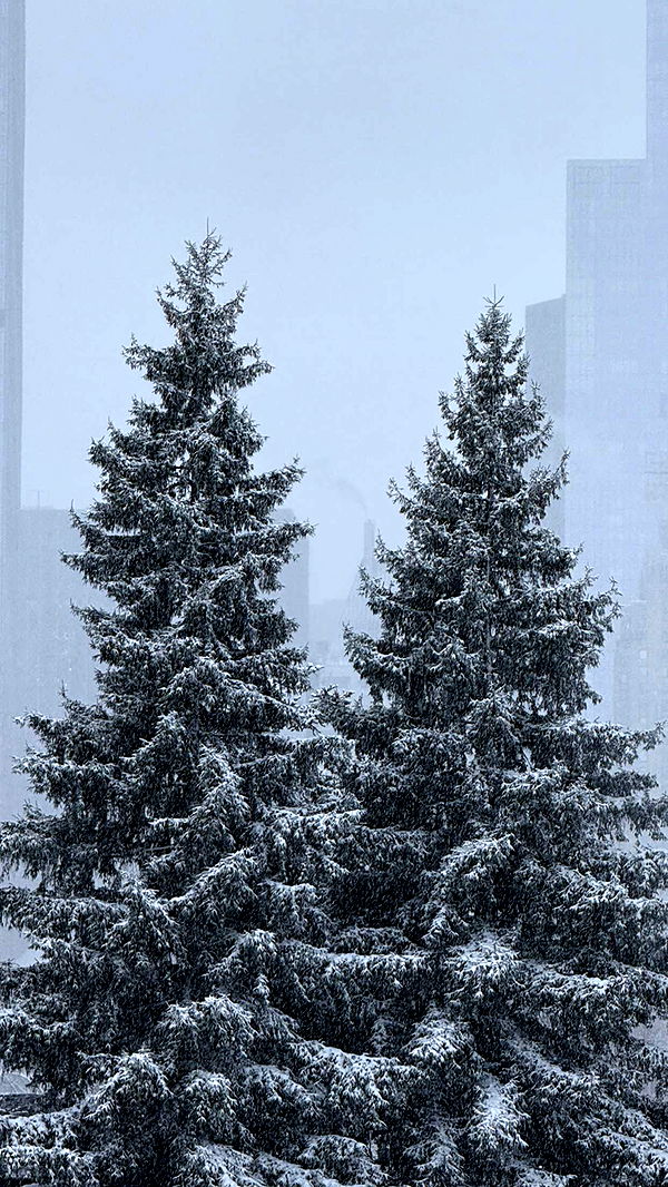 emilyelizabbeth image ~ Altpins