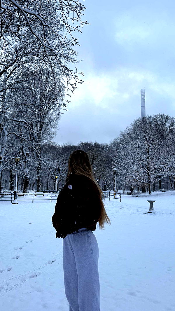 emilyelizabbeth image ~ Altpins