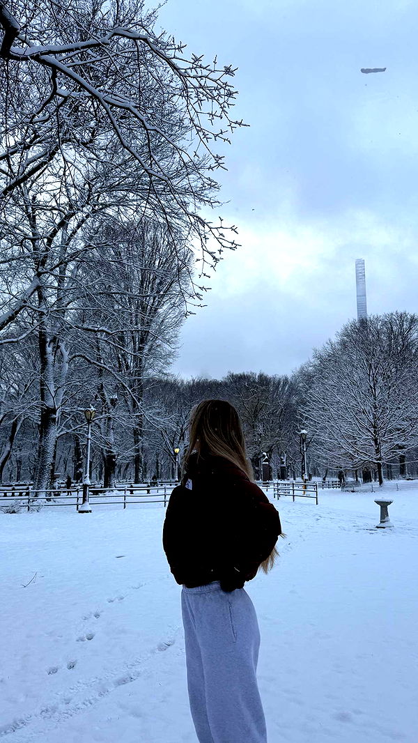 emilyelizabbeth image ~ Altpins