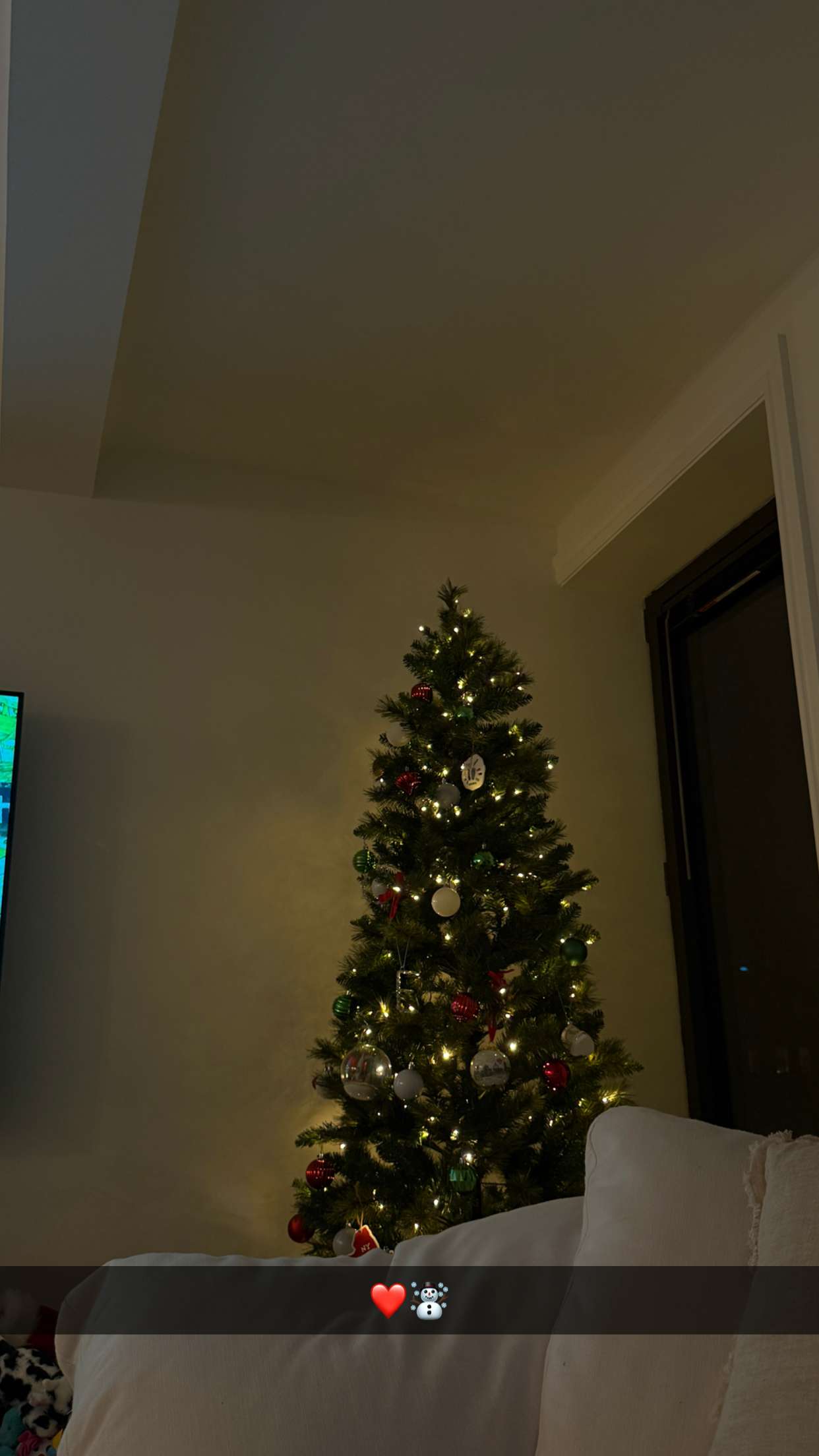 emilyelizabbeth snapchat image archive image