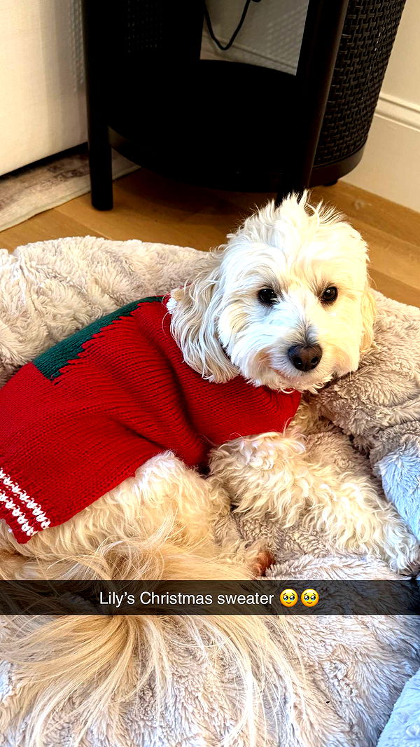 emilyelizabbeth image ~ Altpins