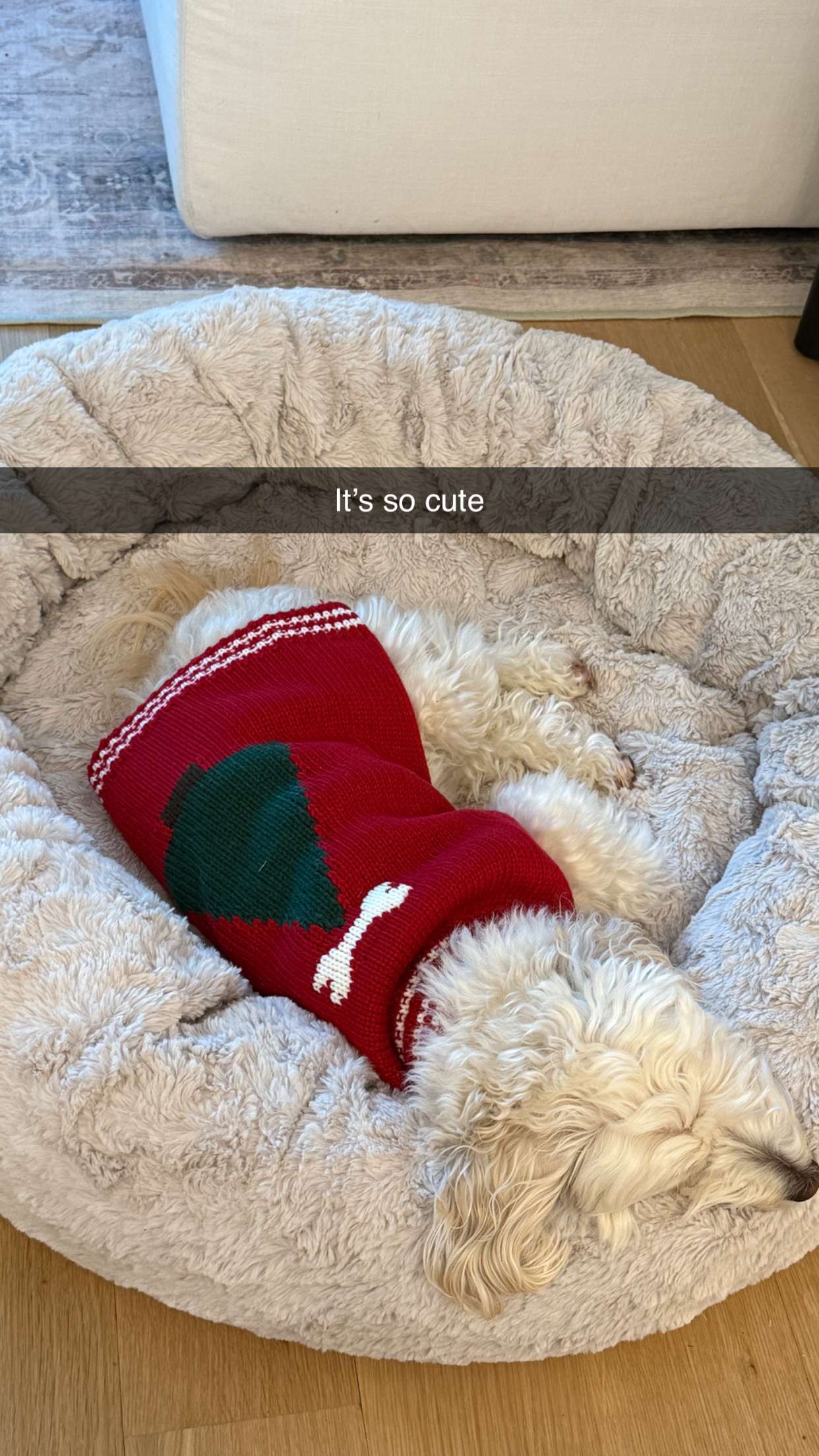 emilyelizabbeth snapchat image archive image