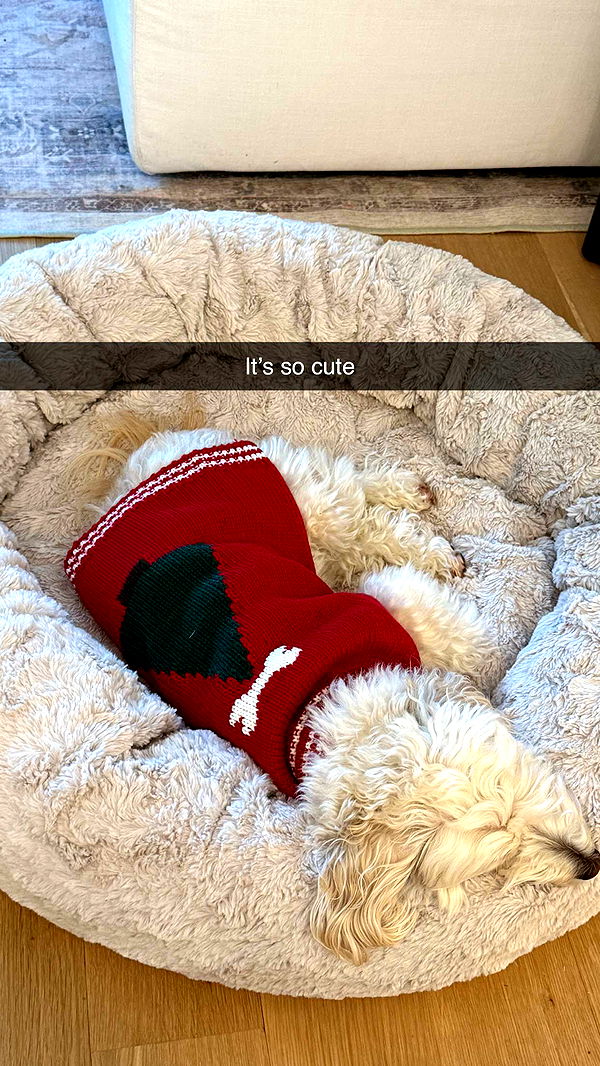 emilyelizabbeth image ~ Altpins