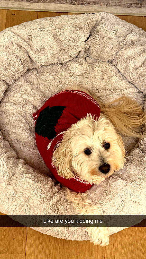 emilyelizabbeth image ~ Altpins