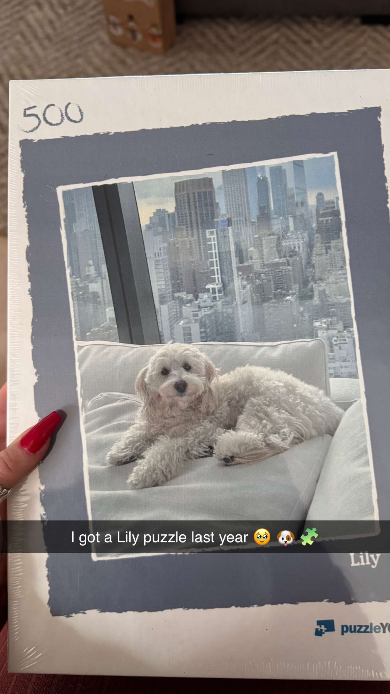 emilyelizabbeth snapchat image archive image