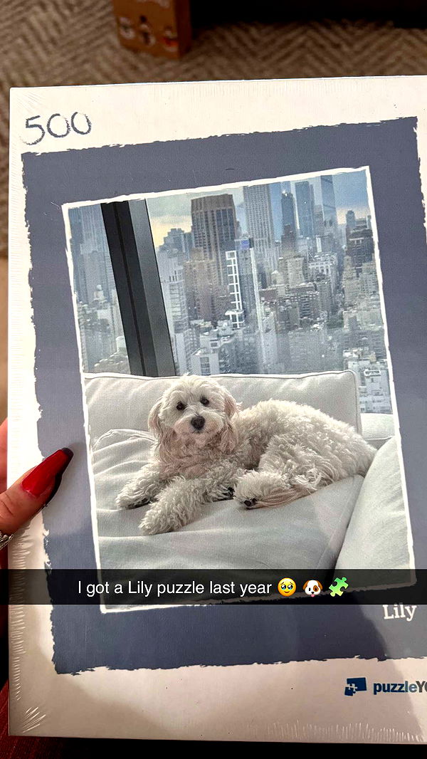 emilyelizabbeth image ~ Altpins