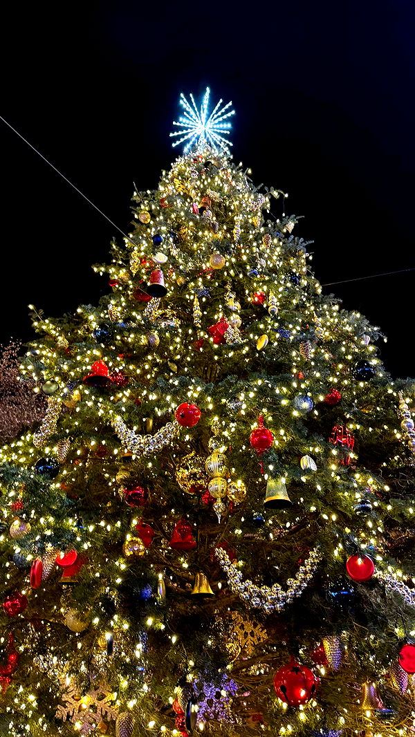 emilyelizabbeth image ~ Altpins