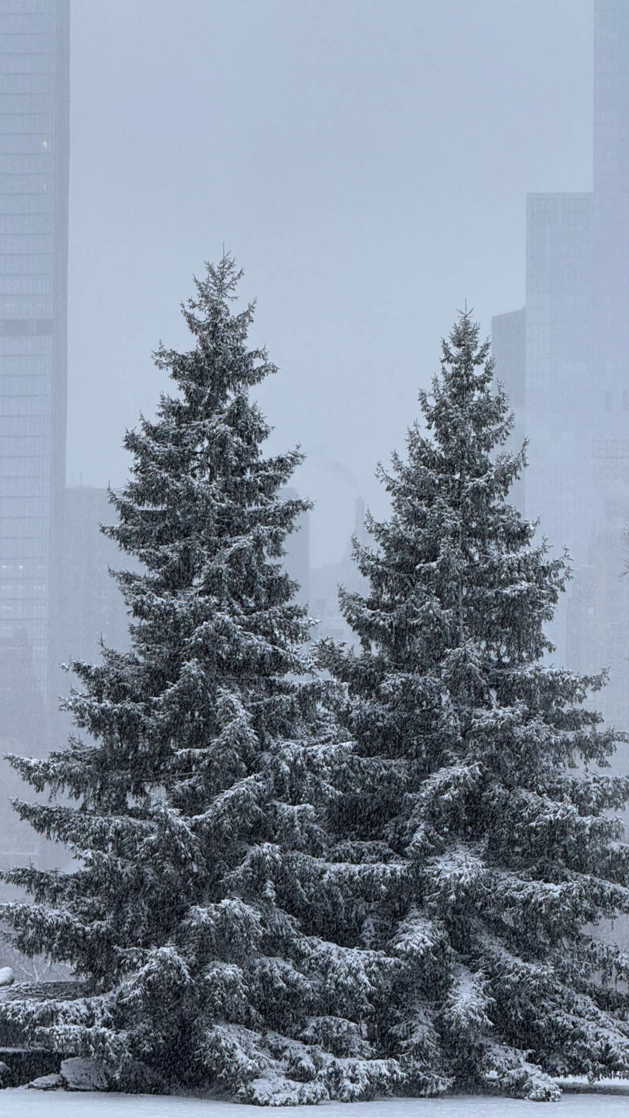 emilyelizabbeth snapchat image archive image