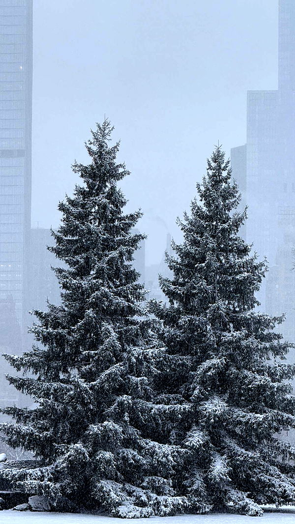 emilyelizabbeth image ~ Altpins