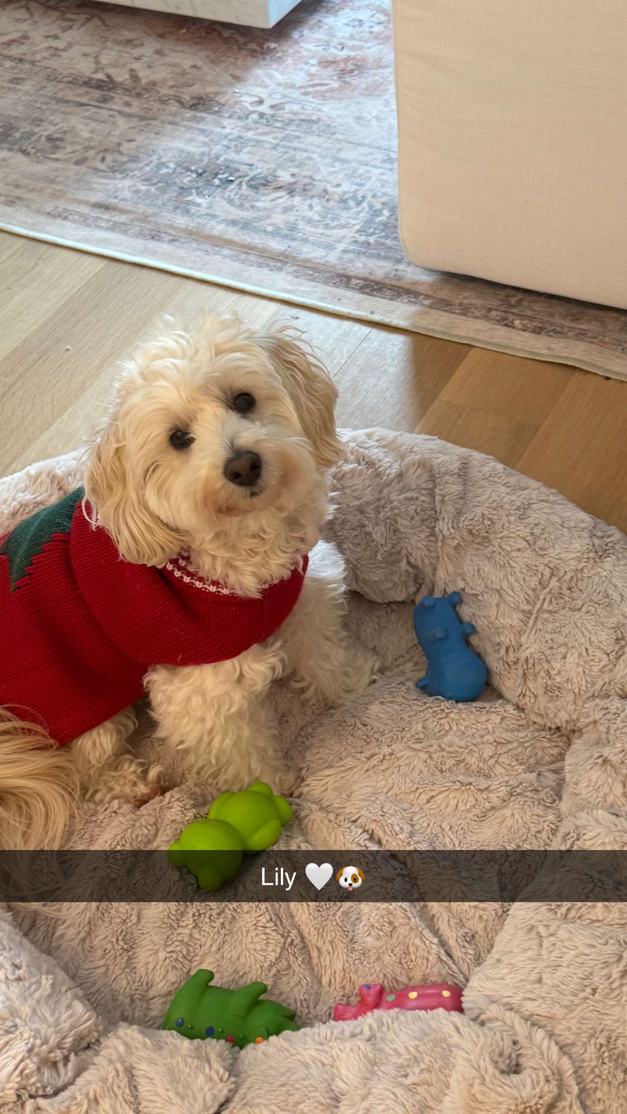 emilyelizabbeth snapchat image archive image