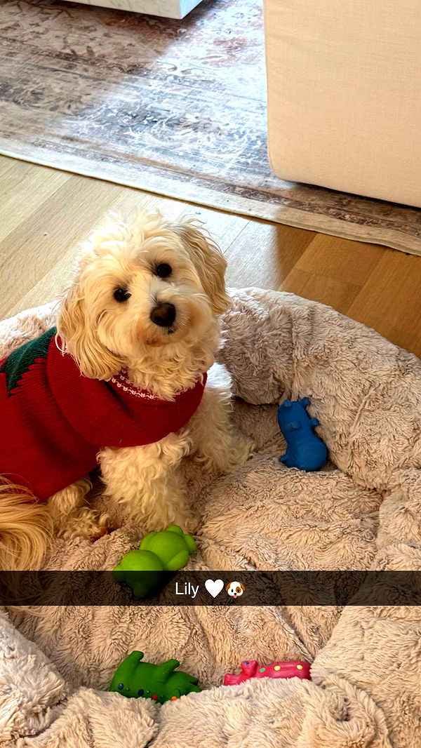 emilyelizabbeth image ~ Altpins