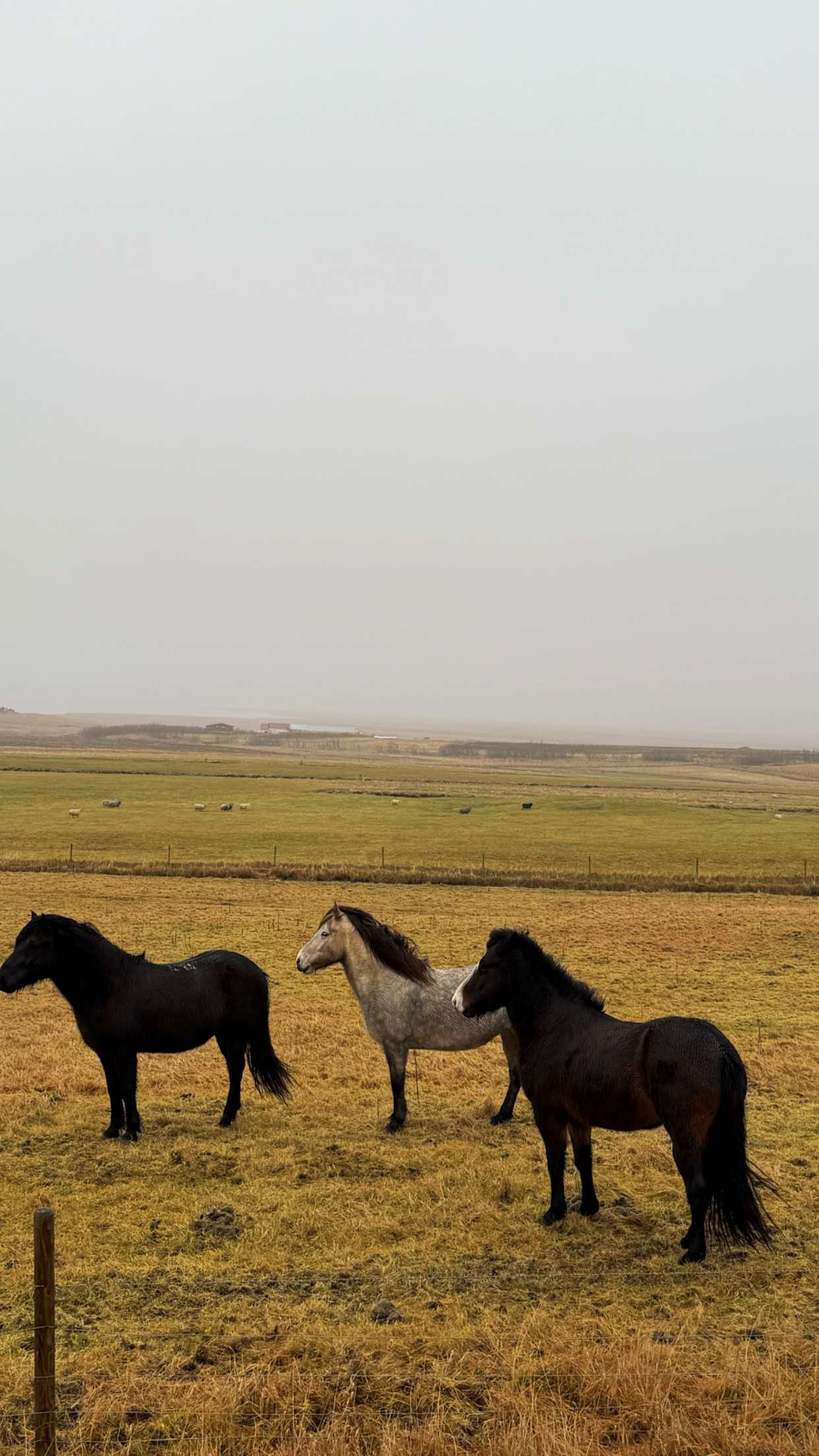 emilyelizabbeth snapchat image archive image