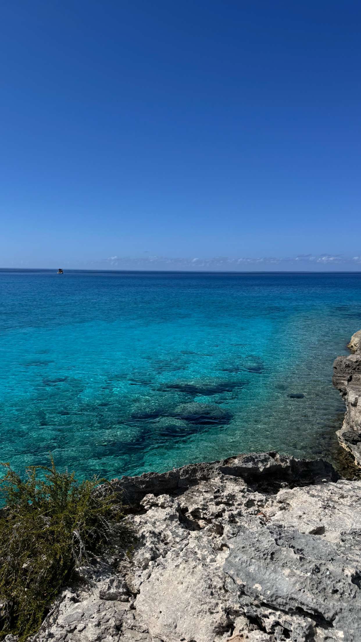 emilyelizabbeth snapchat image archive image