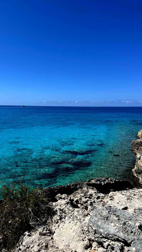 emilyelizabbeth image ~ Altpins