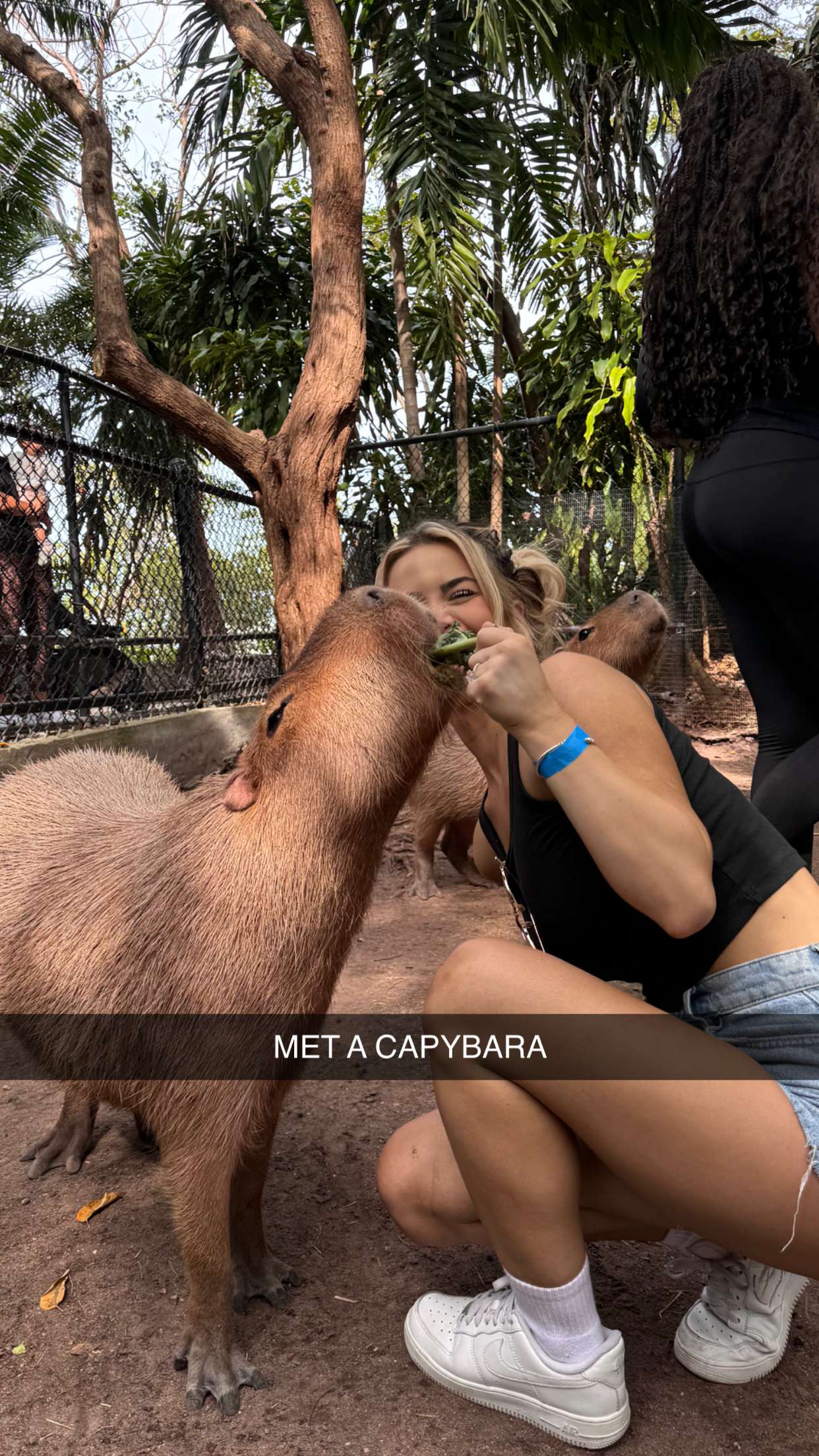 emilyelizabbeth snapchat image archive image