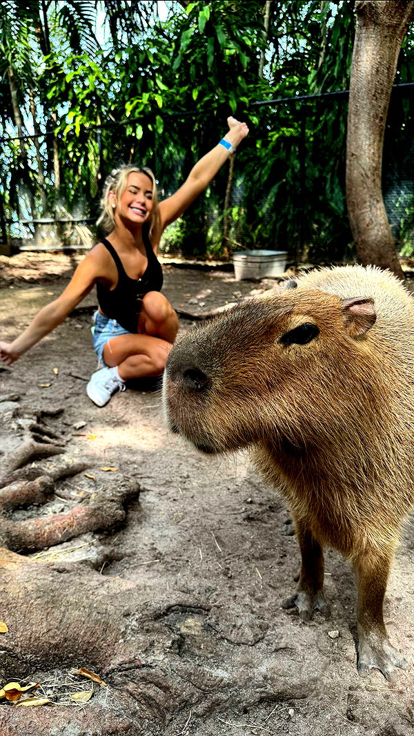 emilyelizabbeth image ~ Altpins