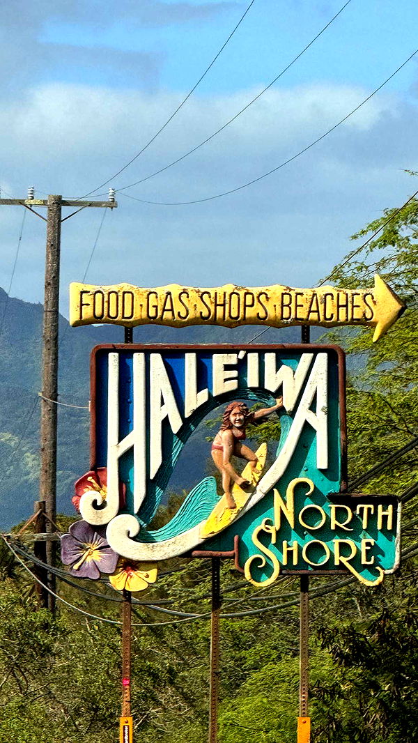 emilyelizabbeth image ~ Altpins